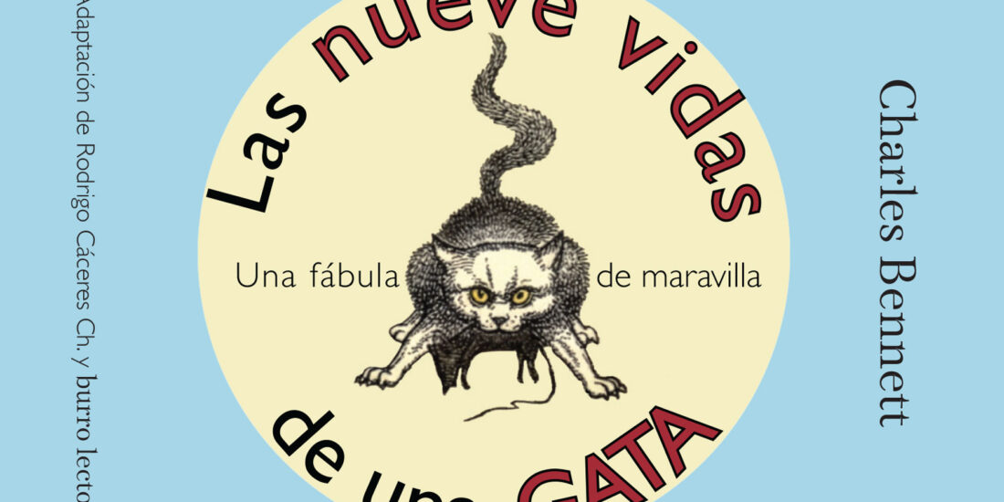 Las nueve vidas de una gata, libro pop-up cortado y encuadernado a mano por burro lector.